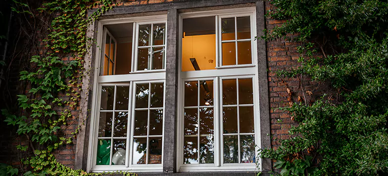 Energy Efficient Wood Windows in Hollywood, FL