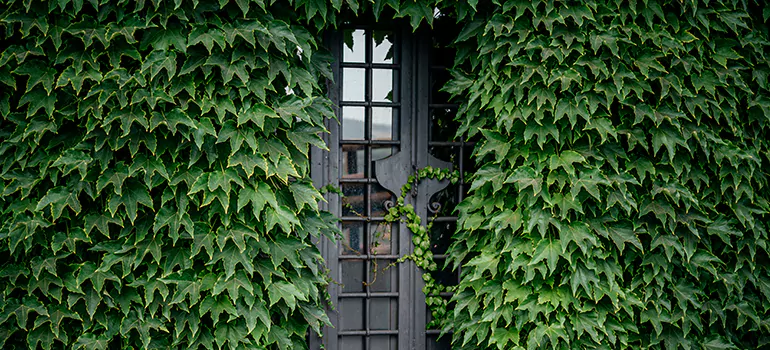 Garden Gate Repair in Hollywood, FL