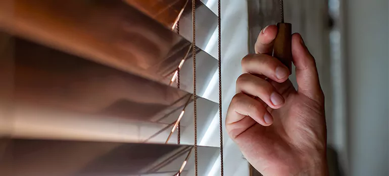 Double Roller Blinds in Hollywood, FL