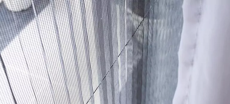 Fixing Screen Window Mesh in Hollywood, FL