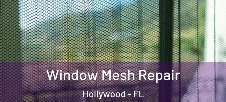  Window Mesh Repair Hollywood - FL